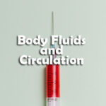 Body Fluids and Circulation Questions and Answers