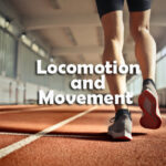 Locomotion and Movement Questions and Answers
