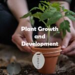 Plant Growth and Development Questions and Answers