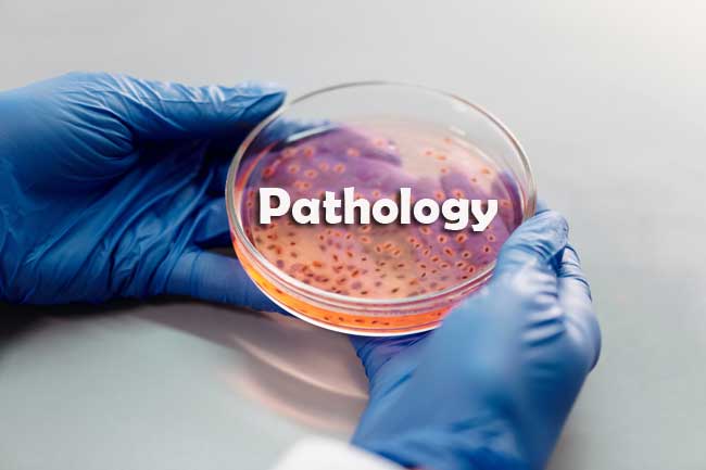 Pathology Questions and Answers