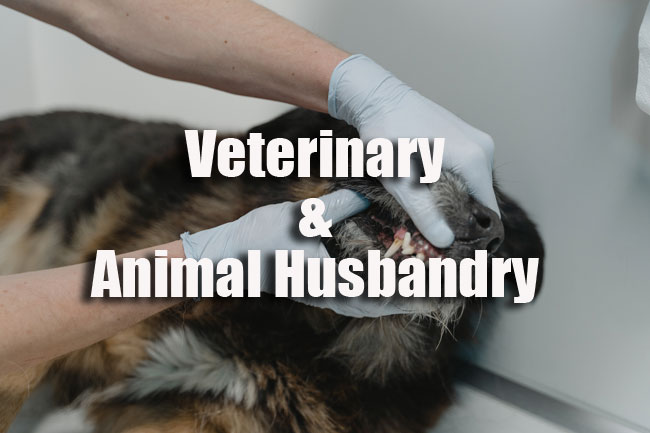 Veterinary MCQ Question Papers